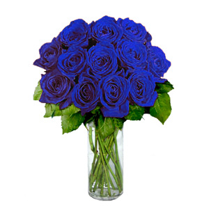 15 Trandafiri albastri