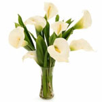 White Callas Bouquet